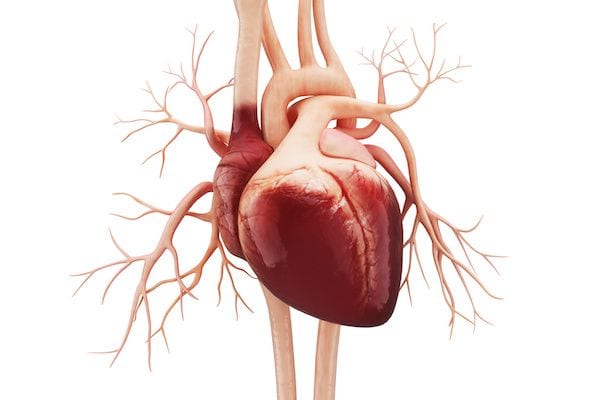 Cardiologo en San Luis Potosi Dr Josue Alejandro Silva Especialista en Valvulopatias v001 compressor