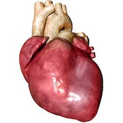 Cardiologo en San Luis Potosi Dr Josue Alejandro Silva v004 compressor