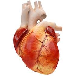 Cardiologo en San Luis Potosi Dr Josue Alejandro Silva v006 compressor