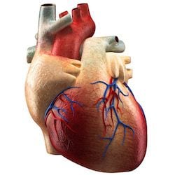 Cardiologo en San Luis Potosi Dr Josue Alejandro Silva v007 compressor